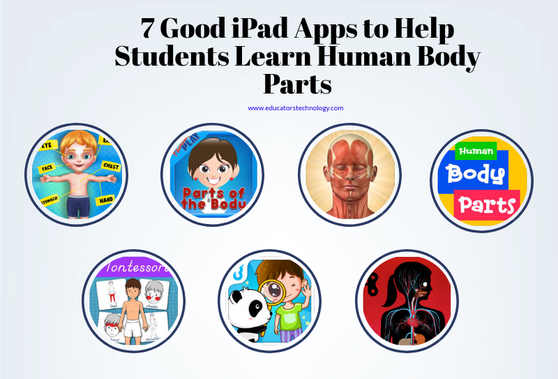 7 Good iPad Apps to Help Students Learn Human Body Parts