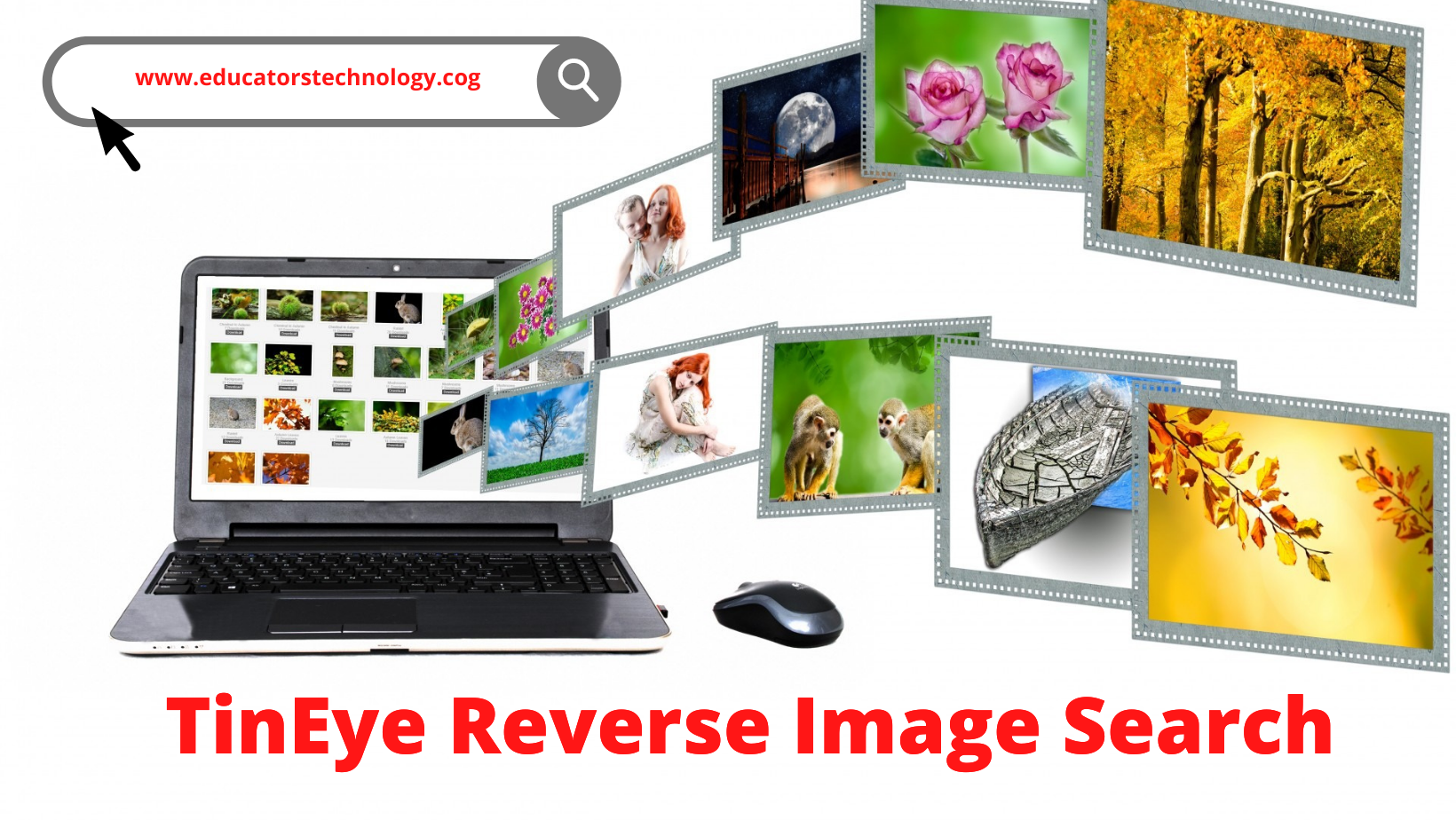 Tineye reverse image search
